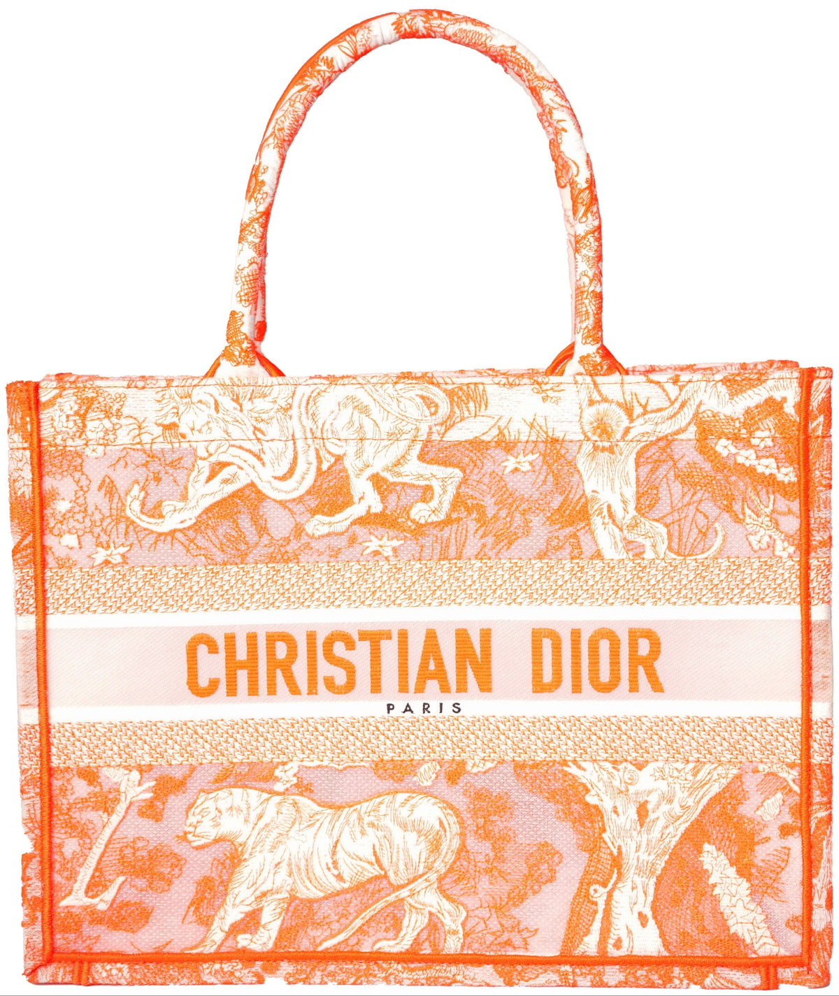 Dior - Medium Toile de Jouy Book Tote